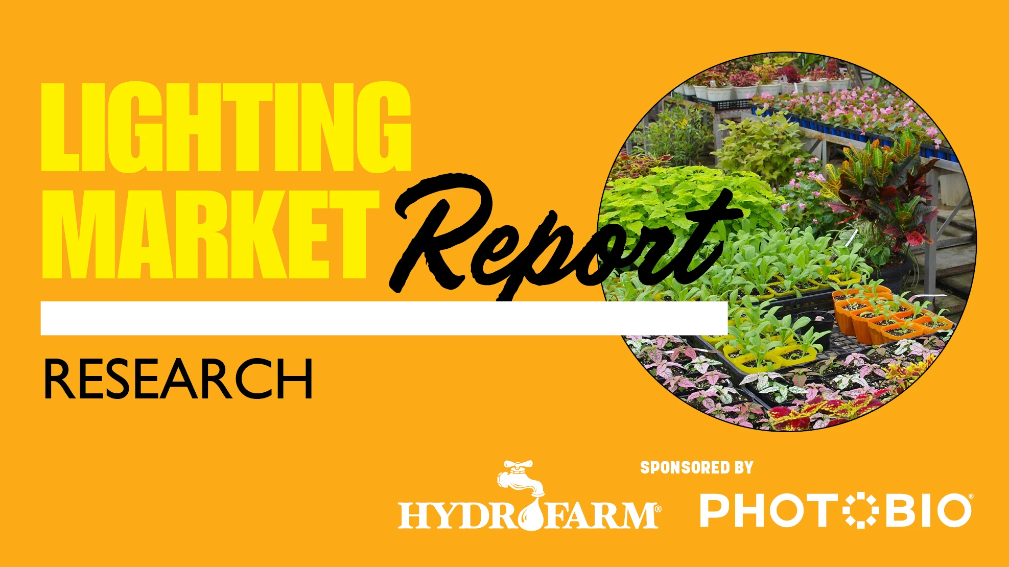 A graphic with yellow, black and white text on an orange background reads Lighting Market Report Research, Sponsored by Hydrofarm Photobio. There's a photo of multiple plants sitting on metal tables.