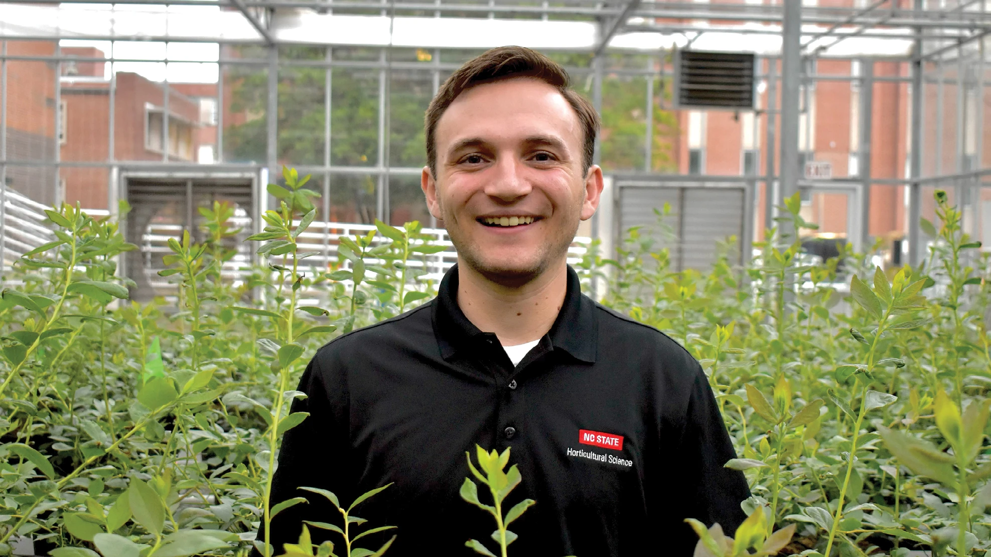 A photo of a smiling man with short brown hair wearing a black polo and standing among chest-high green plants in a greenhouse.