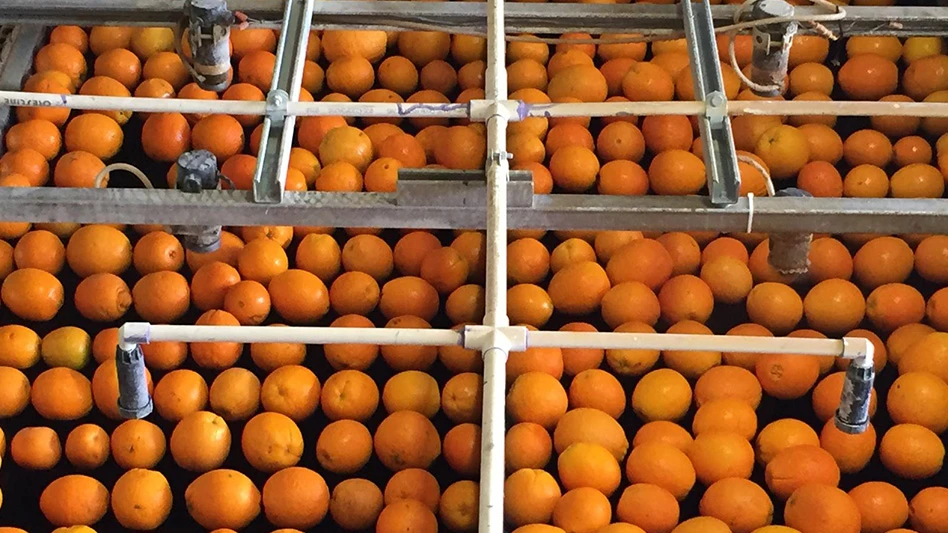 A bin full of orange citrus.