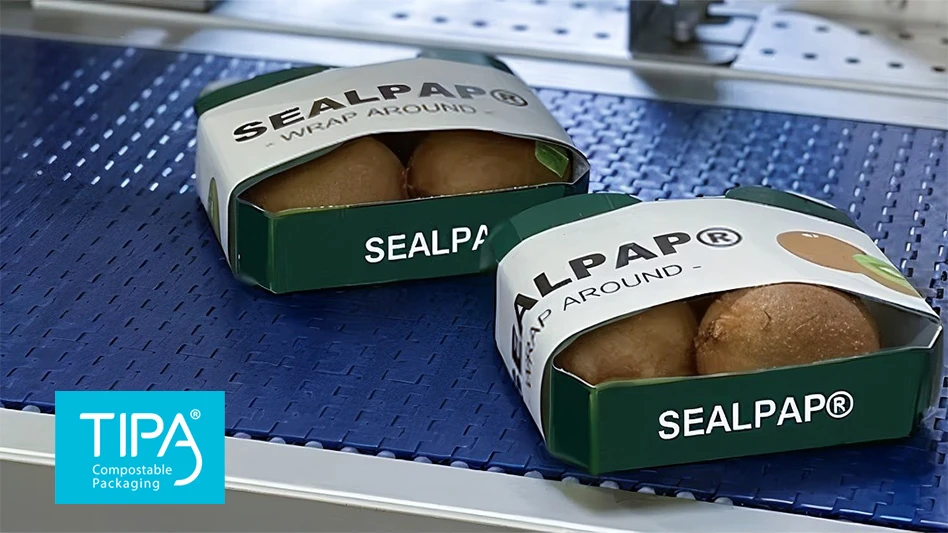 A photo of two brown fruits each in two white and green paper boxes on a blue conveyor belt.