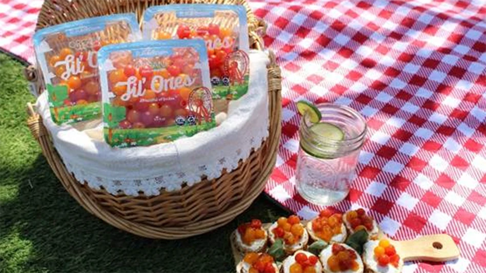 A picnic basket filled with Lil' Ones tomatoes in plastic packaging. The basket sits on a red- and white-checkered blanket.