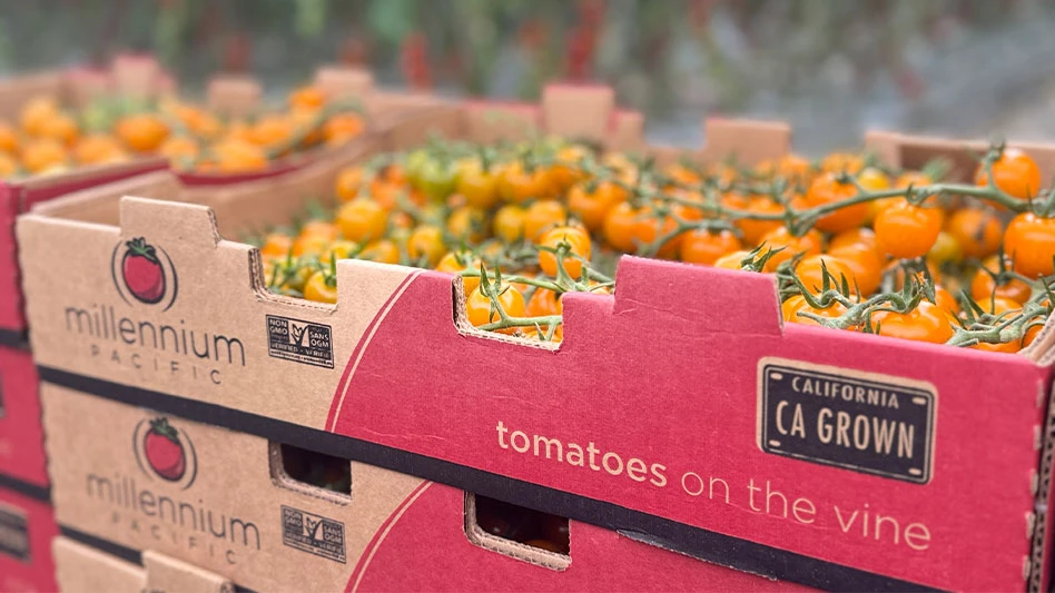 Tiny tomoates on a vine placed inside a red cardboard box that says, "Millennium Pacific" and "CA Grown"
