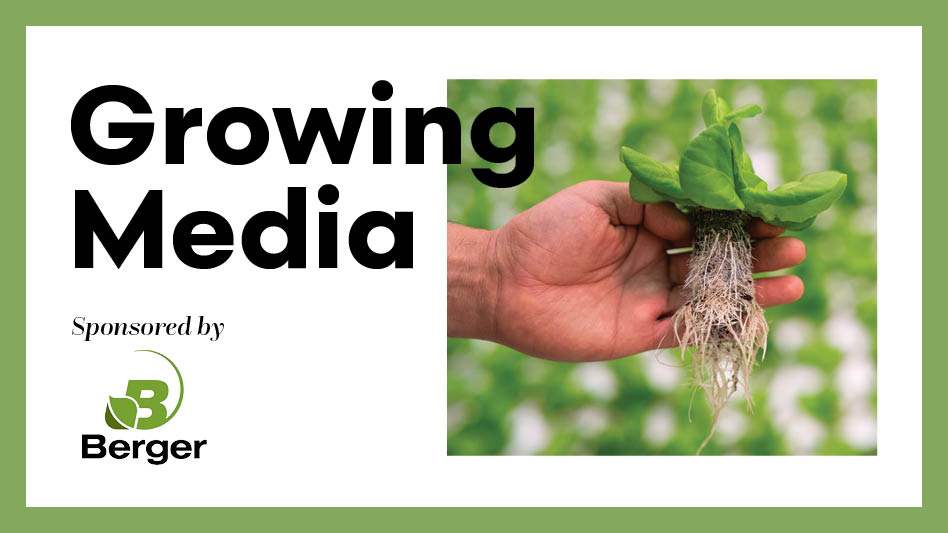 A graphic with black text reading Growing Media on a green and white background, with a photo of a hand holding a green seedling with the roots showing.