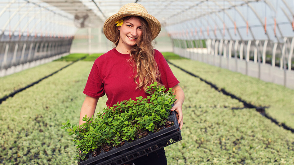 A smiling woman wearing a red T-shirt and yellow straw hat, with a yellow flower behind one ear. She's holding a black flat of plant seedlings and is standing in a greenhouse full of small green plants.