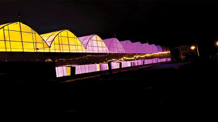 Photo courtesy of Green City Growers