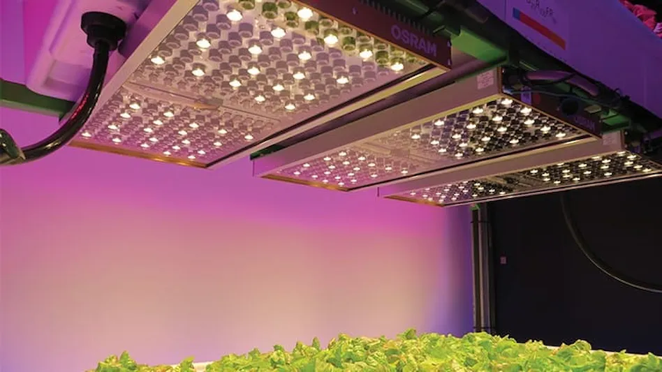 How to choose the best full spectrum LED grow lights for your crops?
