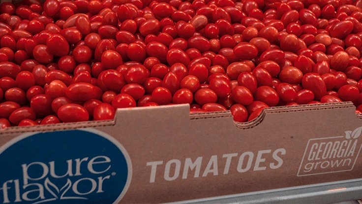 Photo Courtesy of Pure Flavor