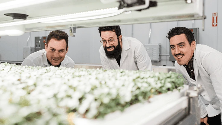 Upward Farms co-founders (from left) Jason Green, Ben Silverman, and Matt LaRosa. 